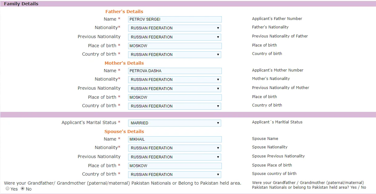Заполнение визы в Индию шаг 7
