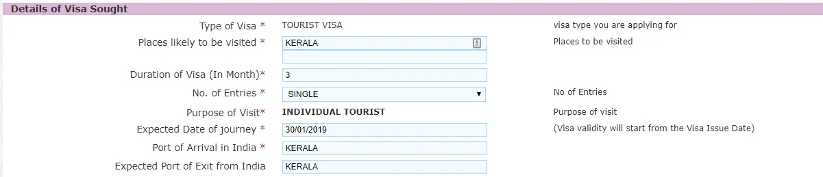 Заполнение визы в Индию шаг 9