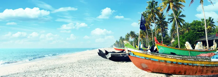 Гоа пляж 2019