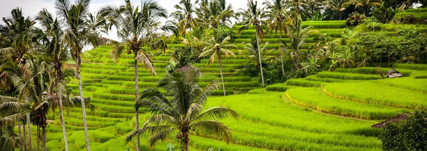 Тегаллаланг