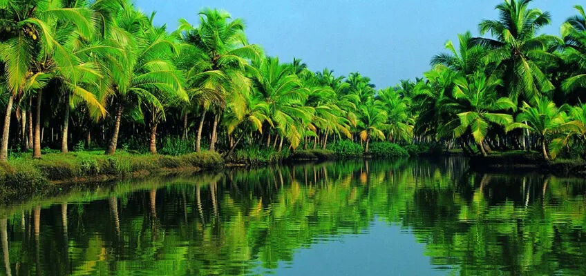 Заводи Кералы