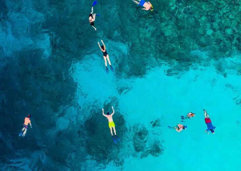 Maafushivaru Maldives: погружение в мир китовых акул