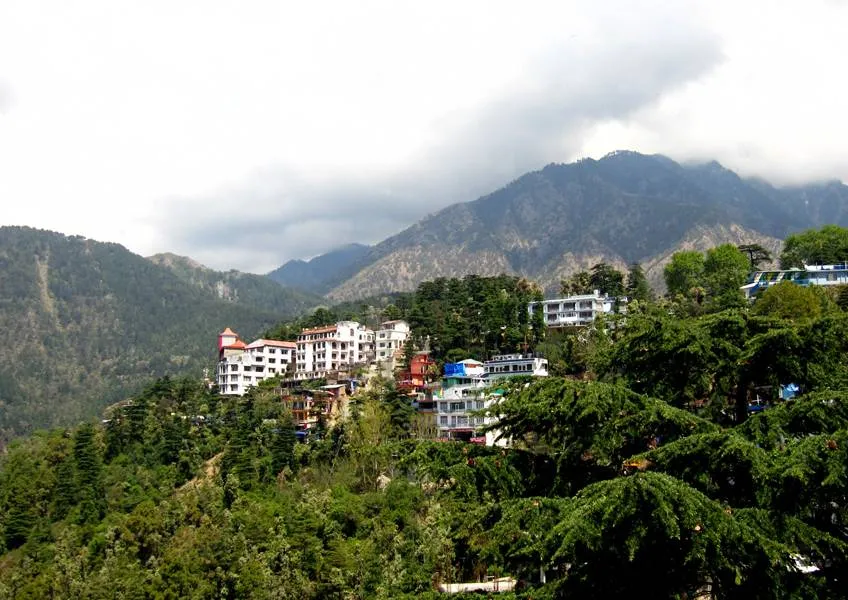 Поездка в Индию. Обитель любопытствующих