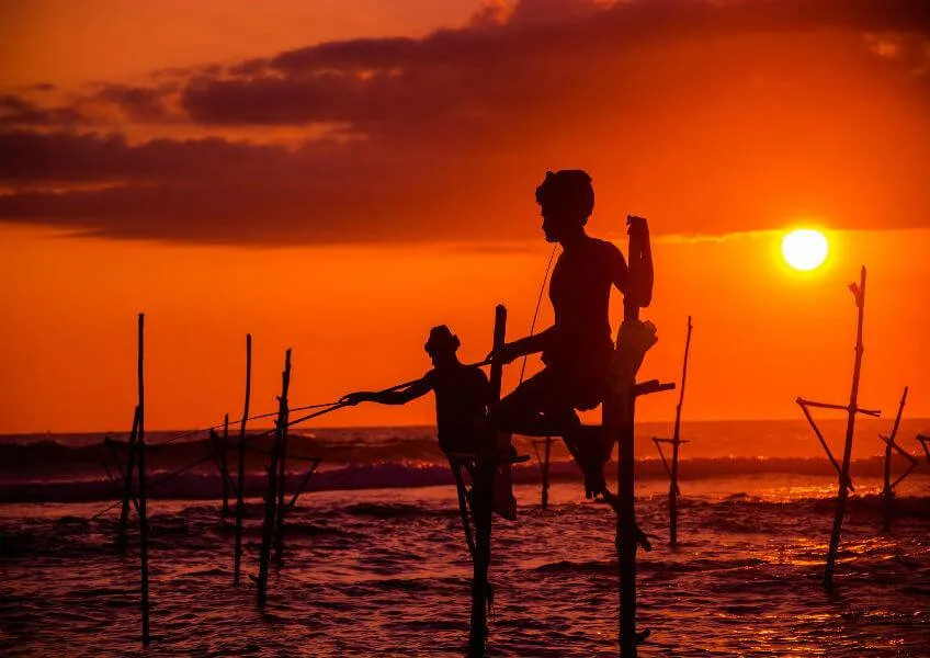 Почему стоит поехать на Шри-Ланку?