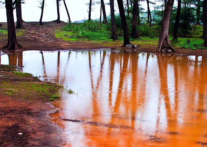 Индия в сезон дождей – почему бы и нет