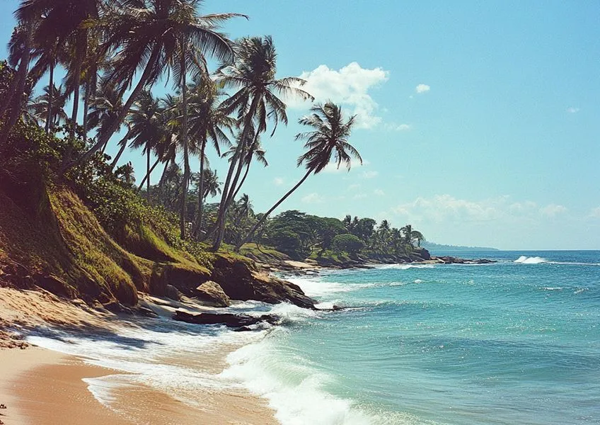 Важная информация по визе в Шри-Ланку: временные изменения в процессе подачи заявлений 