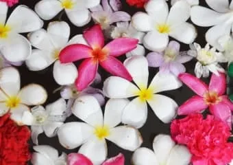 ТОП-5 живописных цветочных долин Индии