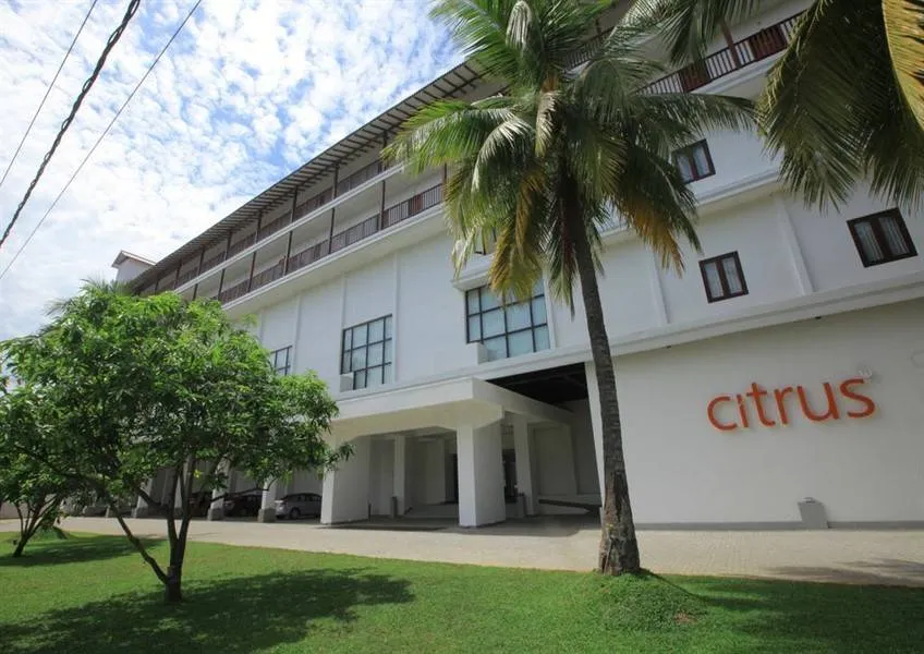 Citrus Hikkaduwa Citrus Hikkaduwa