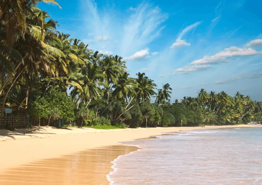 10 лучших пляжей острова Шри-Ланка о которых Вы не знали