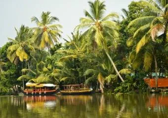 Туры на Кералу – комфортный отдых по доступной цене