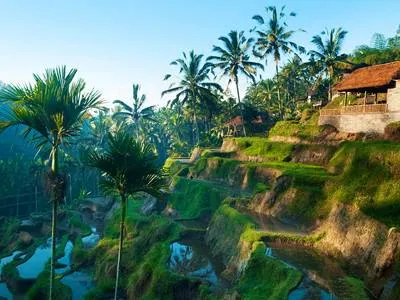 Отели в Убуде