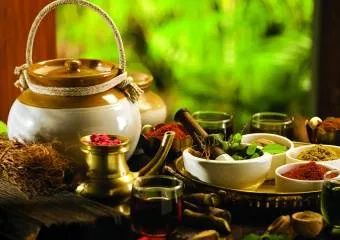 Основные понятия Аюрведы