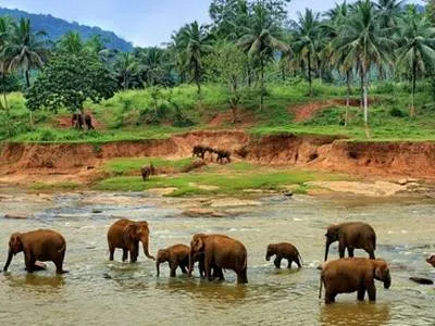 туры в Пиннавелу