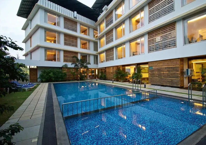 Sodder's Gloria Anne (Глория Эн) Sodder's Gloria Anne (Глория Эн)