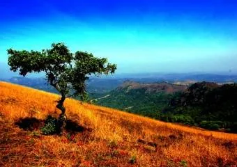 Природа Индии