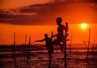 Почему стоит поехать на Шри-Ланку?