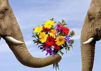 Индийский этикет – обед и гостеприимство