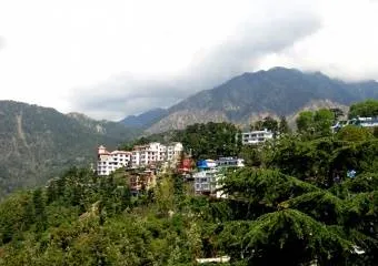 Поездка в Индию. Обитель любопытствующих