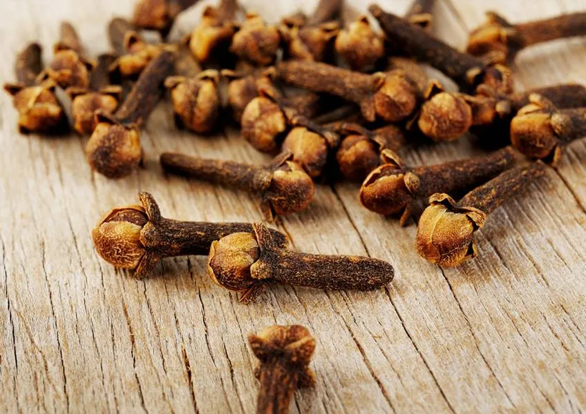 Гвоздика - древнее лечебное средство