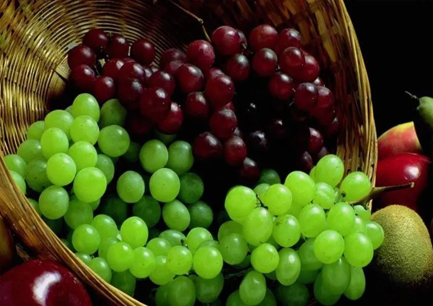 Индия - родина вегетарианства 