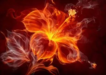 Агни: священный огонь