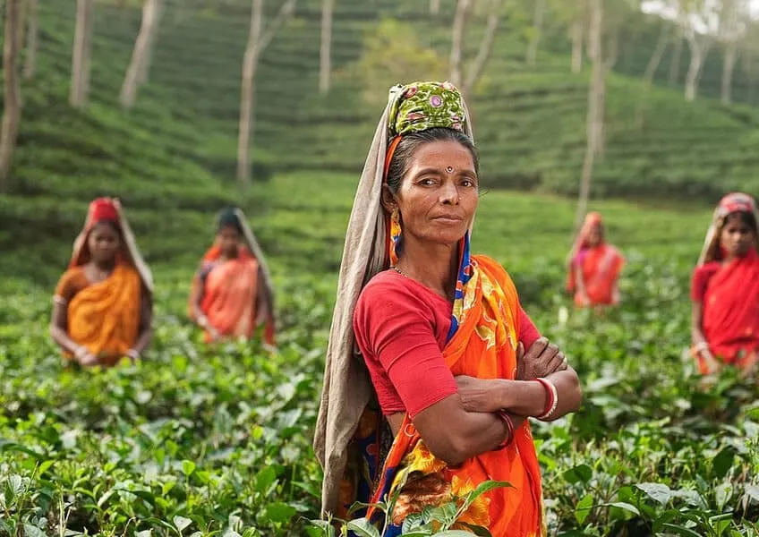 Большое Индийское Путешествие