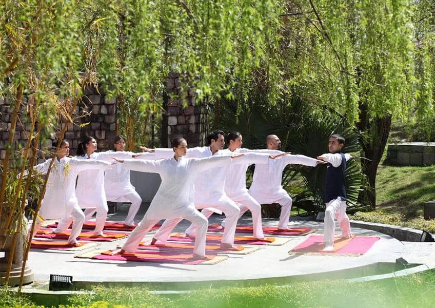 Спецпредложения на аюрведические пакеты отеля Ananda SPA