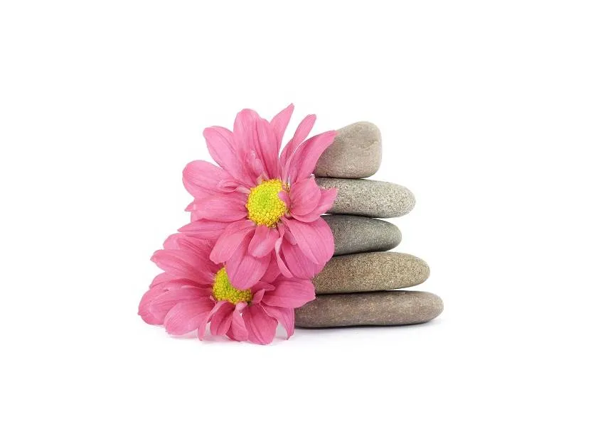 Индия. Аюрведические процедуры. Насьям (Nasyam)