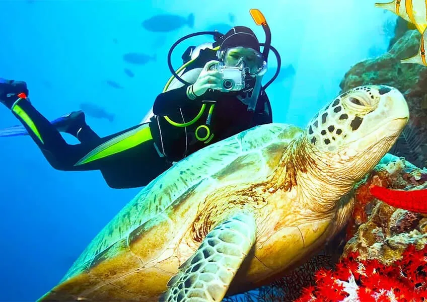 Velassaru Maldives: профессиональная фотосъемка на суше и под водой