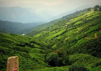 Символы Индии-Дарджилинг