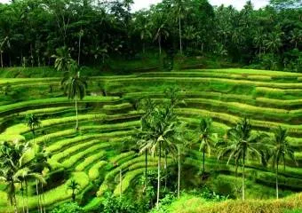 Индия – такого больше нигде не увидишь