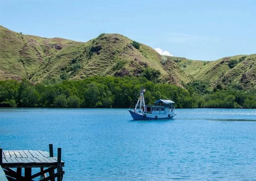 Отели на Ринча