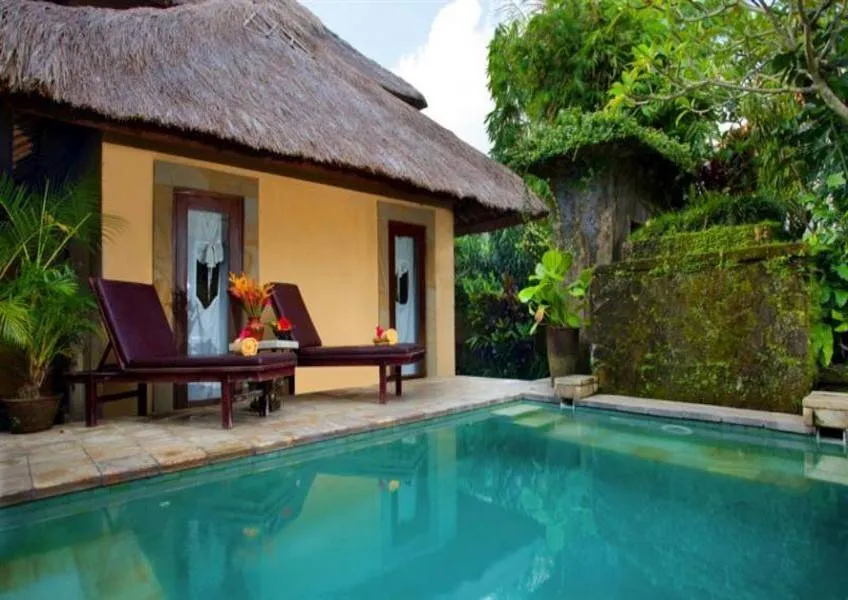 Executive Suite Executive Suite