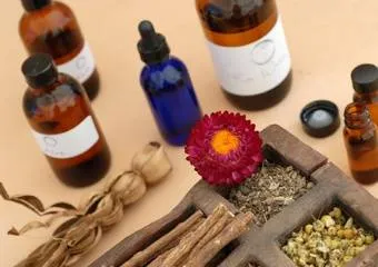 Символы Индии и аюрведы–растения