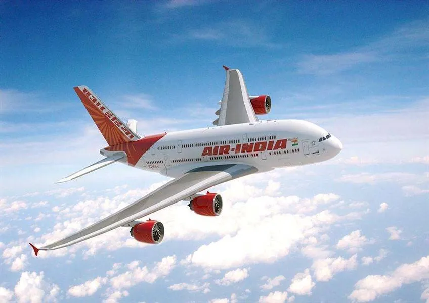 Индийские авиалинии Air India предложат пассажирам вегетарианское меню