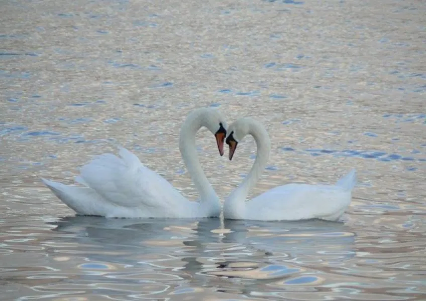 Волнуетесь за свои деньги – Думайте о мире и счастье