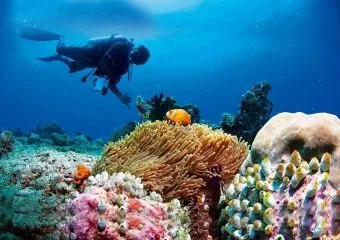 Выбираем отель для дайвинг тура на Мальдивах