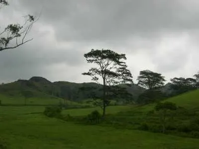 туры в Перияр туры в Перияр