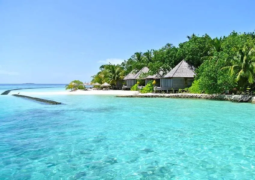 Club Rooms Club Rooms