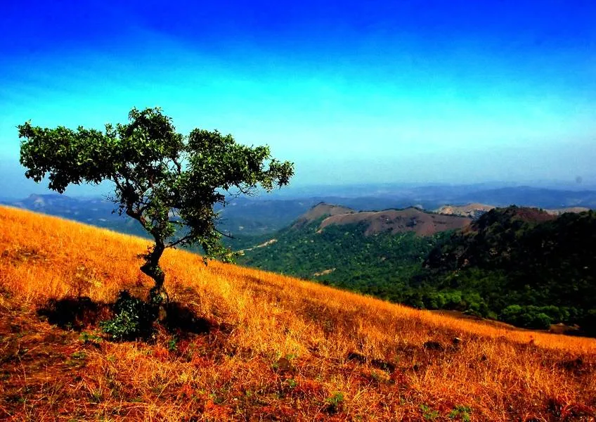 Природа Индии