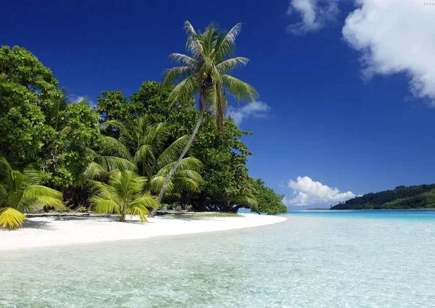 Развлечения в Гоа. Путешествие в джунгли