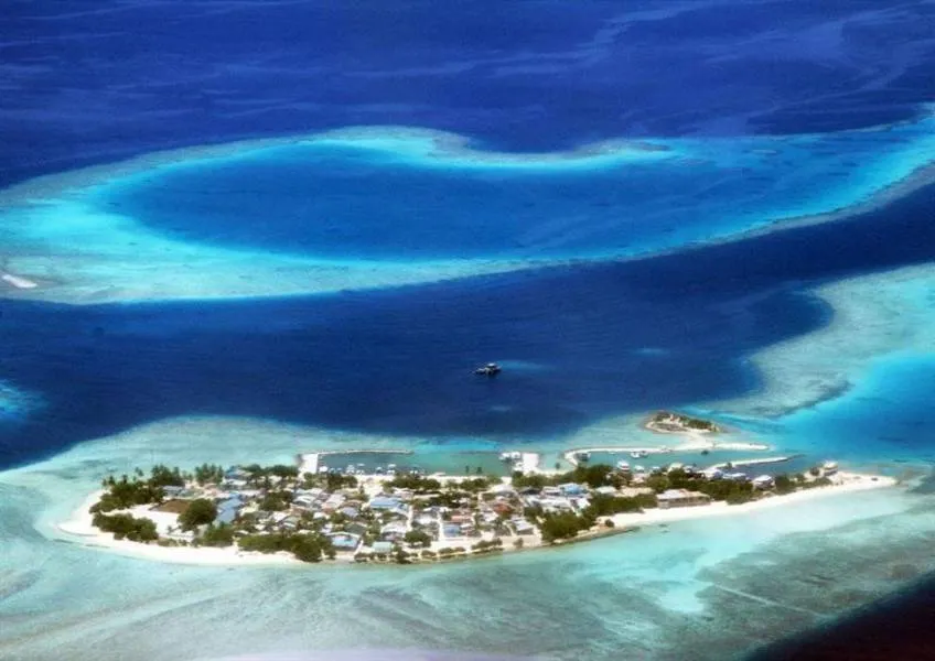 Tropic Tree Hotel Maldives