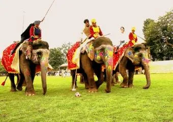 Индийские забавы – поло на слонах