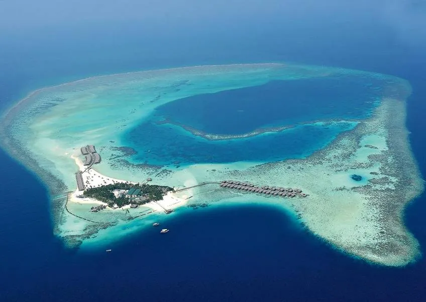 Constance Moofushi Constance Moofushi