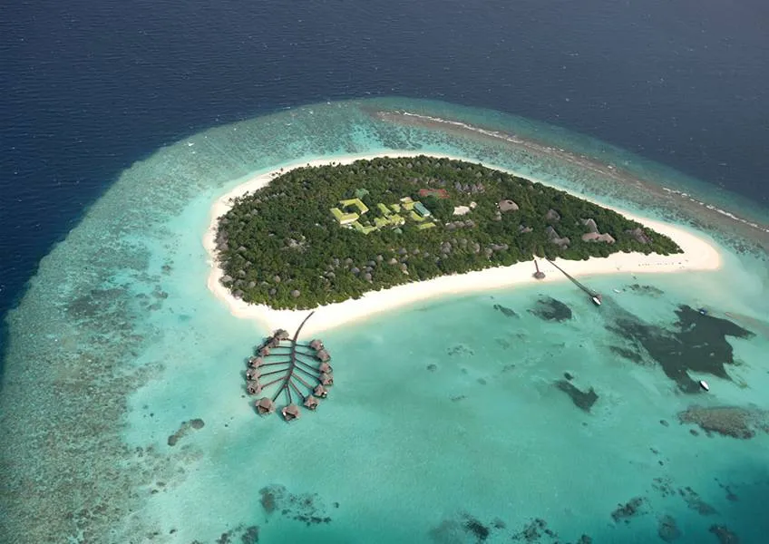 Coco Palm Dhuni Kolhu 