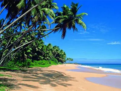 Ваддува Ваддува