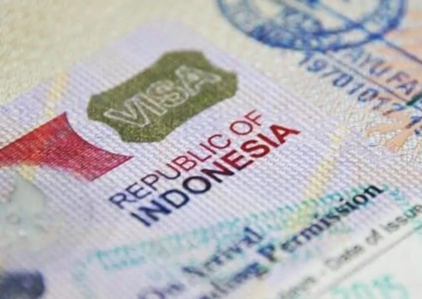 Таможня и визы