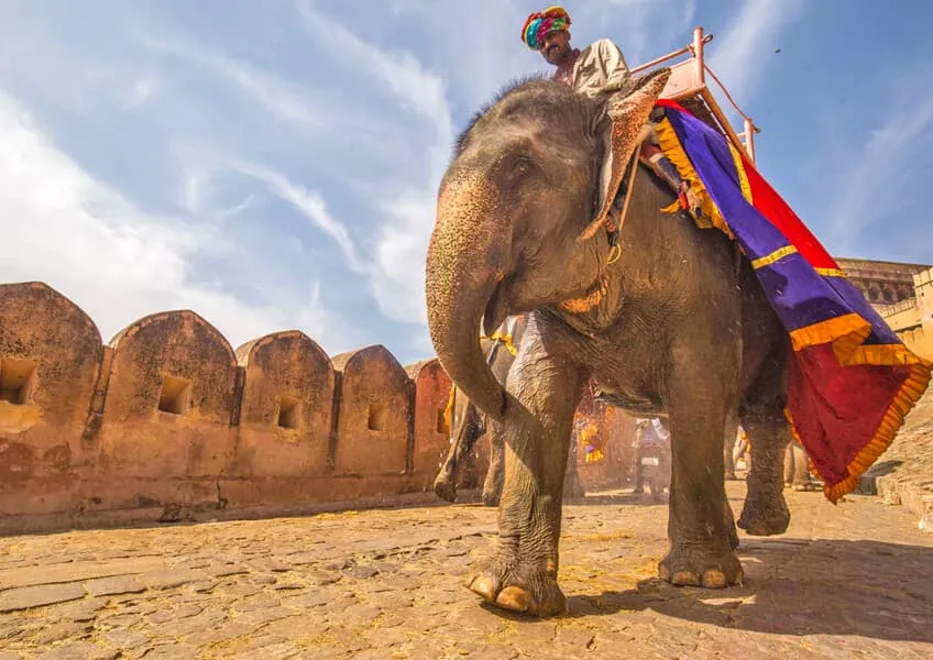 Золотой Треугольник с посещением Самода