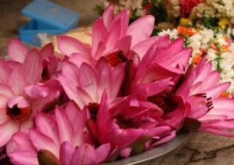 Традиции Индии. Ману - прародитель человечества