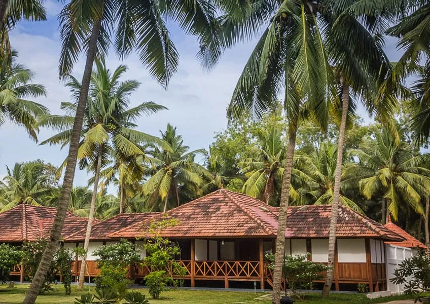 Ayurveda Vaidya Nilayam (Аюрведа Вадия Нилаям) Ayurveda Vaidya Nilayam (Аюрведа Вадия Нилаям)